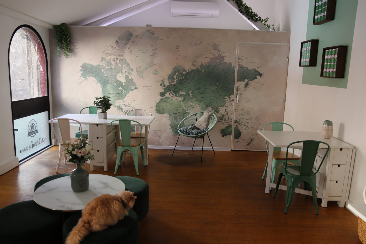 Le Gentle Cat : le meilleur coworking de Lyon - Mélany Bigot
